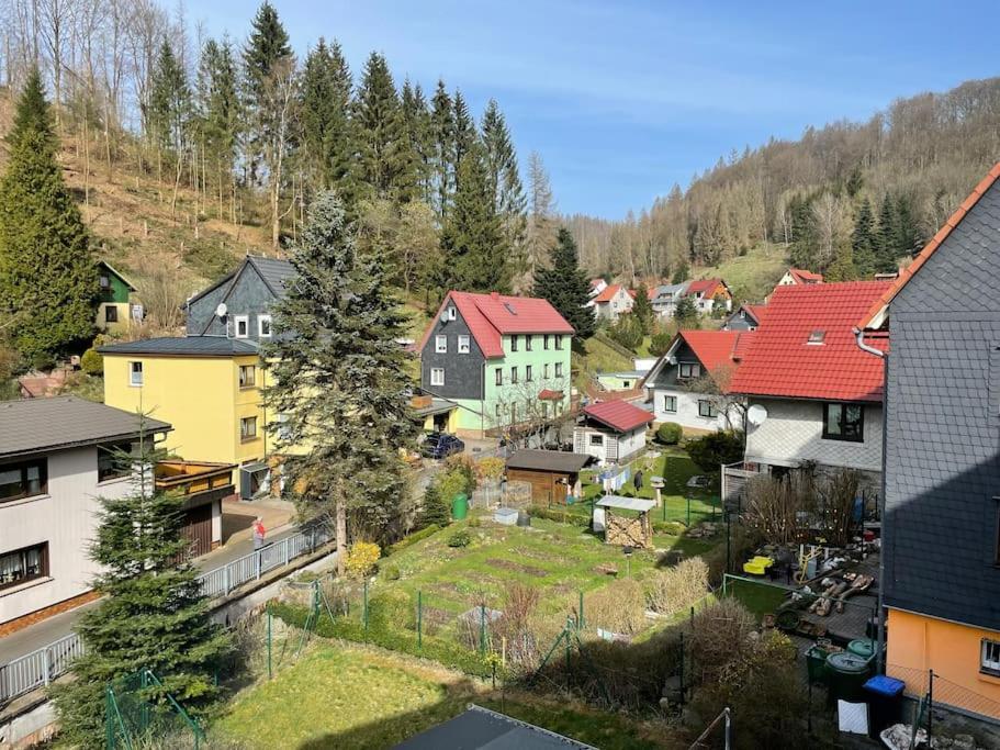 Im Thueringer Wald Appartement Masserberg